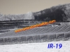 ir-19